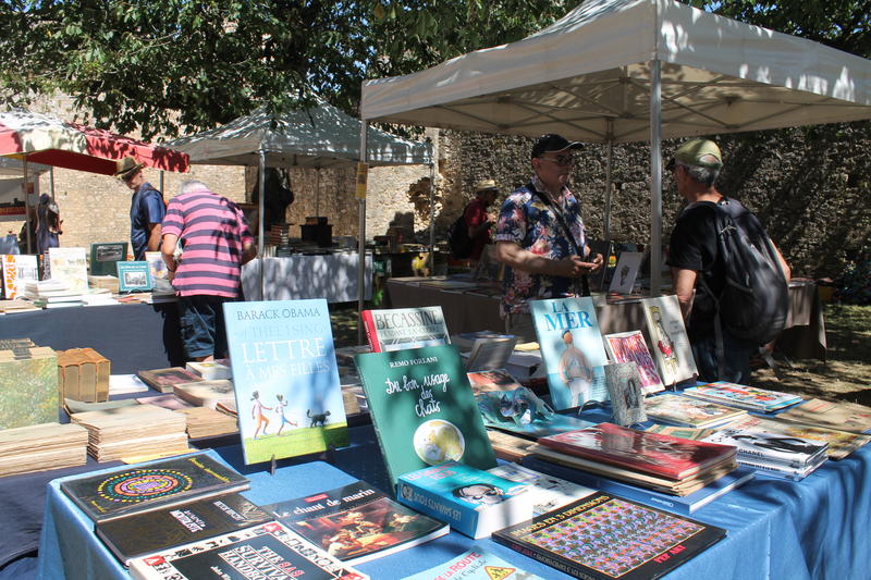 9e fête du livre et du papier du château de sainte-suzanne